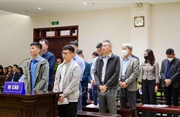 Xét xử phúc thẩm vụ Tập đoàn Thuận An