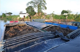 Phát hiện 7 sà lan vận chuyển số lượng lớn đất mặt không hóa đơn