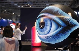 Khi cơn khát AI có thể làm đứt gãy chuỗi cung ứng toàn cầu