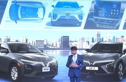 Kim ngạch thương mại Việt Nam - Ấn Độ đạt mốc lịch sử gần 16,46 tỷ USD