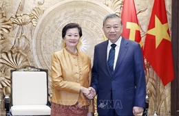 Tổng Bí thư Tô Lâm tiếp Đại sứ Vương quốc Campuchia đến chào từ biệt