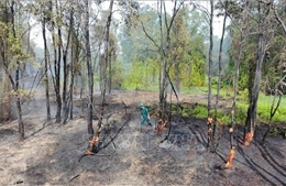 Khống chế vụ cháy rừng liền kề Khu di tích lịch sử cách mạng Bình Thành