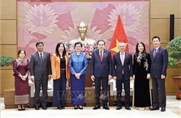 Chủ tịch Quốc hội Trần Thanh Mẫn tiếp các đại sứ đến chào từ biệt