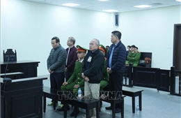 Hai cựu lãnh đạo Ban Quản lý dự án Đắk Lắk cùng bị tuyên án 8 năm tù