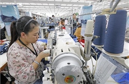 Lá chắn sinh tồn từ công nghệ số