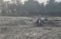 Ruộng đồng Gò Nổi (Đà Nẵng) chưa thoát cảnh cát bồi lấp