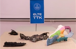 Phát hiện hóa thạch khủng long có sừng ở châu Âu