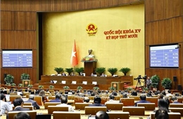 Đặt con người ở vị trí trung tâm trong quản trị trí tuệ nhân tạo