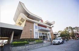 Ngăn chặn virus Nipah ngay tại cửa khẩu