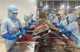 Xuất khẩu thủy sản lập kỷ lục mới, vượt mốc 11 tỷ USD