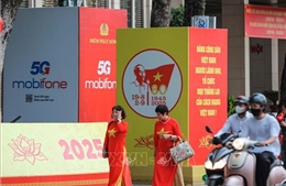 Tổ chức, hoạt động Quỹ Dịch vụ viễn thông công ích Việt Nam