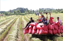 Tập trung thực hiện ba khâu đột phá chiến lược, đưa Vĩnh Long phát triển nhanh và bền vững