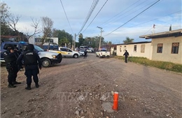 Mexico: Xả súng tại một trận bóng đá, ít nhất 11 người tử vong