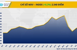 Giằng co trên thị trường hàng hóa: Giá đậu tương tăng mạnh, đồng COMEX mất đà