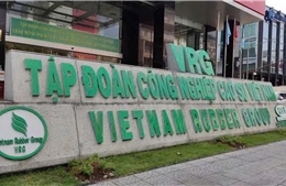 Nhiều tồn tại, vi phạm tại Tập đoàn Công nghiệp Cao su Việt Nam