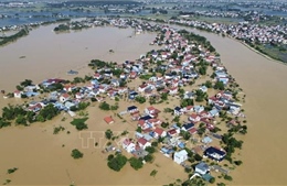 Năm 2026: Bão, áp thấp nhiệt đới có thể ít hơn so với trung bình nhiều năm