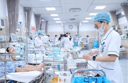 Không ghi nhận ổ dịch tập trung, số ca sốt xuất huyết và tay chân miệng tăng nhẹ