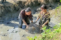 Về Cần Thơ ăn Tết giữa thiên nhiên