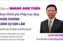 Giáo sư Hoàng Anh Tuấn nhận Huân chương Cành cọ Hàn lâm của Pháp