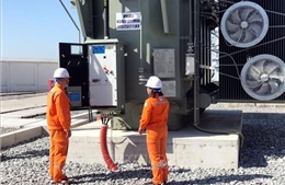 Điện lực Hải Phòng ứng trực 24/24 giờ, đảm bảo cung ứng điện dịp Tết Nguyên đán