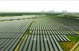 Khơi thông nguồn lực đổi mới sáng tạo và năng lượng xanh