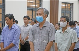 Tuyên phạt 3 cựu Phó Chủ tịch UBND thành phố Long Xuyên (cũ) 8 năm tù treo