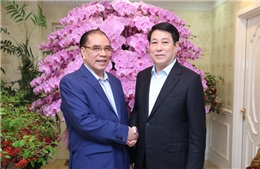 Chủ tịch nước Lương Cường chúc Tết nguyên Tổng Bí thư Nông Đức Mạnh