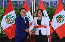 Tổng thống lâm thời Peru bổ nhiệm thủ tướng