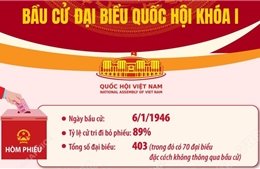 Kết quả bầu cử đại biểu Quốc hội từ khóa I đến khóa XV