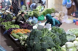 Bảo đảm an toàn thực phẩm, phòng ngừa ngộ độc dịp Tết, lễ hội Xuân 2026