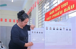 Nguyên tắc hoạt động của các tổ chức phụ trách bầu cử ở địa phương