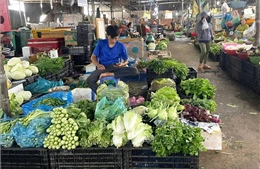 Chợ đầu mối TP Hồ Chí Minh bình ổn giá giữa biến động chi phí
