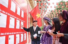 Nhà khoa học Cuba: Cuộc bầu cử thúc đẩy tiến trình phát triển đột phá của Việt Nam