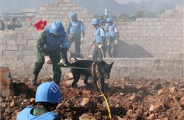 Khóa huấn luyện gìn giữ hòa bình đầu tiên của Việt Nam đạt chuẩn quốc tế