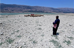 Hạn hán có thể thúc đẩy vi khuẩn kháng kháng sinh