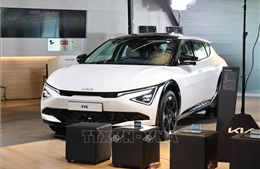 Kinh tế tư nhân trước cơ hội bứt phá mới - Bài cuối: Kinh nghiệm phát triển kinh tế tư nhân ở các nước