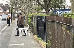 Thị trường thú cưng Anh sau 'thập kỷ vàng'