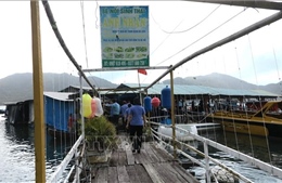 Di dời bè nổi ra khỏi khu vực Di tích quốc gia đặc biệt Tàu không số Vũng Rô