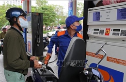 Hoàn thiện quy chuẩn kỹ thuật, thúc đẩy triển khai xăng sinh học E10 trên toàn quốc