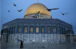Các thánh địa tại Jerusalem mở cửa trở lại, trên 100.000 tín đồ Hồi giáo dự lễ cầu nguyện