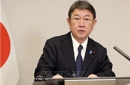 Nhật Bản ủng hộ Việt Nam trong vai trò Chủ tịch Hội nghị kiểm điểm Hiệp ước NPT