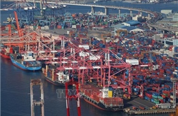 Hàn Quốc miễn thuế vận chuyển thay thế tuyến đường qua Eo biển Hormuz