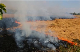 Cảnh báo nguy cơ hỏa hoạn do đốt cỏ, rác trong cao điểm mùa khô 2026