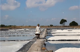 Nâng tầm giá trị hạt muối, gỡ khó cho diêm dân