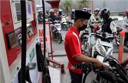 Các nước đẩy mạnh nỗ lực giảm phụ thuộc vào dầu mỏ