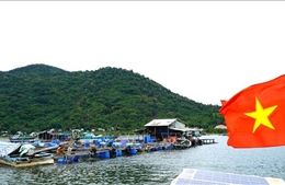 Phát triển nghề nuôi biển theo hướng công nghiệp ứng dụng công nghệ cao