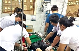 Cảnh báo hiểm họa ngộ độc từ ăn nhầm lá cây độc từ rừng