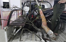 Bắt giữ vụ khai thác, vận chuyển cây Muội hồng