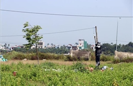 Dự án Kè và Khu dân cư Nam Sông Vệ vẫn dở dang sau 10 năm triển khai