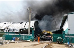 Nỗ lực khống chế đám cháy ở khu kinh tế Nhơn Hội A